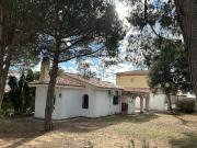 Chalet, Centro, Mont Roig del Camp