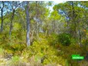 Chalet con 19.000m2 de terreno a 1500m de Metro L amp...