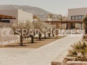 Chalet con Amplias Parcelas Cultivables en Yecla Murcia
