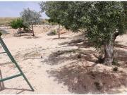 CHALET CON ENCANTO A 3 KM DE YECLA