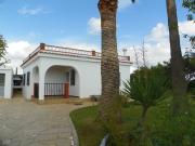 CHALET CON FINCA DE NARANJOS Y OLIVOS