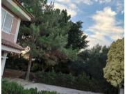 CHALET CON PISCINA EN EL RAAL