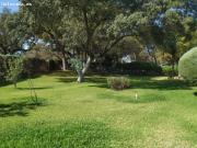 CHALET CON PISCINA PRIVADA EN CARRETERA DE SEVILLA
