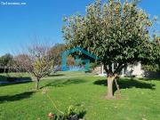 Chalet con piscina, rodeado de jardines, frutales, en...