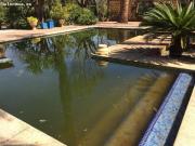 Chalet con terreno Totana