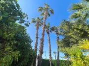 CHALET DE 4 DORMITORIOS 2 BAÑOS EN CHAPARAL TORREVIEJA