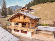 Chalet de 7 pièces avec vue Dents du Midi