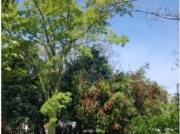 CHALET DE LUJO CON VISTAS PAORÁMICAS ONDARA