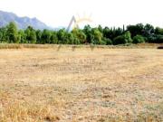 Chalet de Montaña en Monforte del Cid