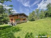 Chalet de prestige 7 pièces 210 m2 utiles Chamonix Mont...
