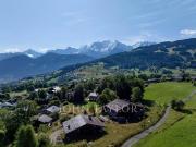 Chalet de prestige de 14 pièces en vente Combloux, France