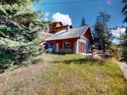 Chalet de prestige de 5 pièces en vente Valberg, France