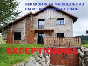 Chalet de prestige de 8 pièces en vente Gérardmer, France