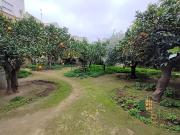 Chalet, Don Benito