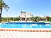 Chalet, Elche / Elx