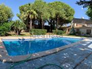 Chalet, Elche / Elx