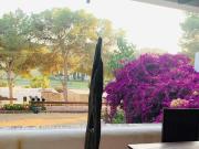 Chalet en alquiler en Ibiza / Eivissa, Ibiza Chalet en alquiler en Ibiza / Eivissa, Ibiza