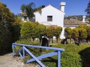 Chalet en alquiler en Sotogrande, Sotogrande Alto