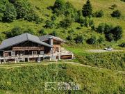 Chalet en pleine nature avec vue