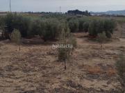 Chalet en venta en Abarán. Desde que vivo aquí me...