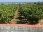 Chalet en venta en Alcanar, Les Cases D'Alcanar...