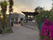 Chalet en venta en Alcaucín, Málaga