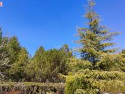 Chalet en venta en Alcázar de San Juan. Chalet ubicado a...