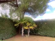 Chalet en venta en Aldeamayor de San Martín. Chalets...