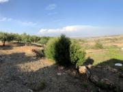 Chalet en Venta en Alhaurín de la Torre, Málaga