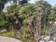 Chalet en venta en Almazora Almassora, Santa Quiteria...