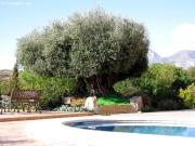 Chalet en Venta en Altea la Vella, Alicante