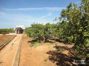 Chalet en venta en Alzira, El Pla de Corbera