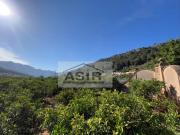 Chalet en venta en Alzira, Urbanitzacions i Pedanies...