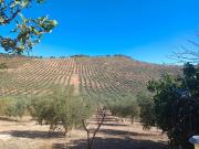 Finca/Casa Rural en venta en Archidona, Málaga