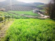 Chalet en venta en Arcos de la Frontera. Chalets Arcos...