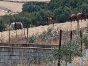 Chalet en venta en Arcos de la Frontera. Ubicada en la...