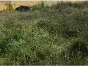 Chalet en venta en Arriate