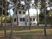 Chalet en venta en Aspe, Alicante