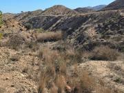 Chalet en venta en Aspe, Pedanías Este. CASA CON CAMINO...