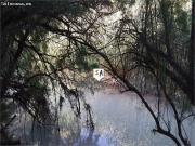 chalet en Venta en Baena. FQFR T4292