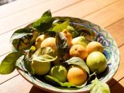 Chalet en venta en Baleares Sa Pobla. Precioso chalet...