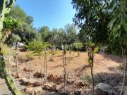 Chalet en venta en Baleares Santa Eulària, Santa Eulària...