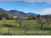 Chalet en venta en Baleares Selva. Chalet unifamiliar de...