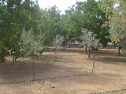 Chalet en venta en Belmez. ESPECTACULAR CHALET CON...