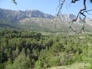 Chalet en venta en Benissa