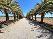 Chalet en venta en Binissalem, Mallorca