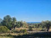 Chalet en venta en Cálig. Finca, chalet, piscina,Calig,...