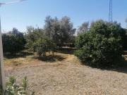 Chalet en venta en Carlota La. CHALET CON PARCELA DE...