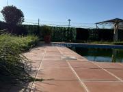 Chalet en venta en Carmona. Chalets.