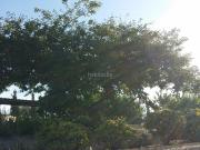 Chalet en venta en Cartagena, Campo Nubla. Chalet en...